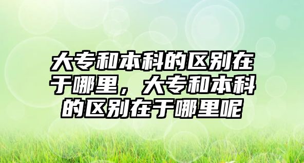 大專和本科的區(qū)別在于哪里，大專和本科的區(qū)別在于哪里呢