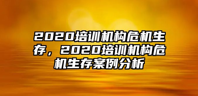 2020培訓(xùn)機構(gòu)危機生存，2020培訓(xùn)機構(gòu)危機生存案例分析