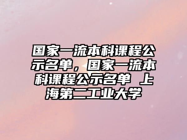 國家一流本科課程公示名單，國家一流本科課程公示名單 上海第二工業(yè)大學