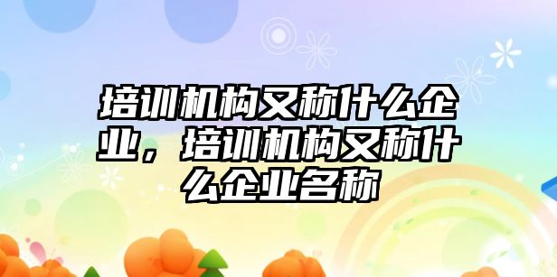 培訓機構又稱什么企業(yè)，培訓機構又稱什么企業(yè)名稱