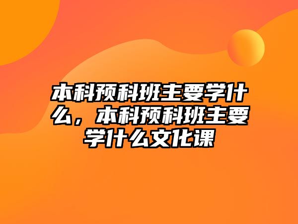 本科預(yù)科班主要學(xué)什么，本科預(yù)科班主要學(xué)什么文化課