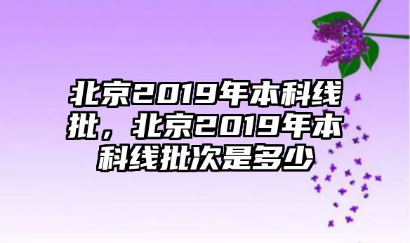 北京2019年本科線批，北京2019年本科線批次是多少