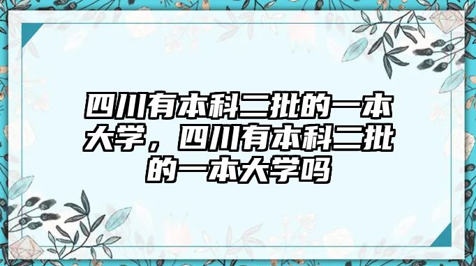 四川有本科二批的一本大學(xué)，四川有本科二批的一本大學(xué)嗎