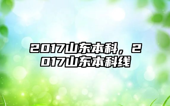 2017山東本科，2017山東本科線