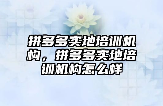 拼多多實地培訓機構，拼多多實地培訓機構怎么樣