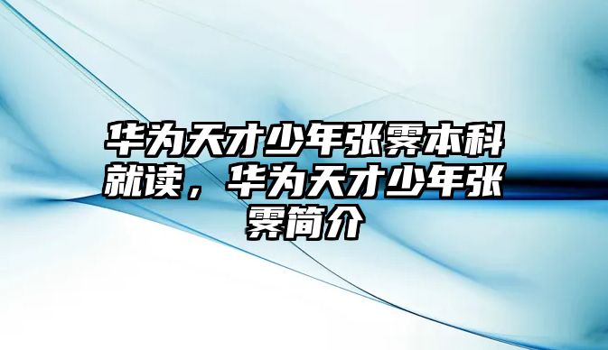 華為天才少年張霽本科就讀，華為天才少年張霽簡介