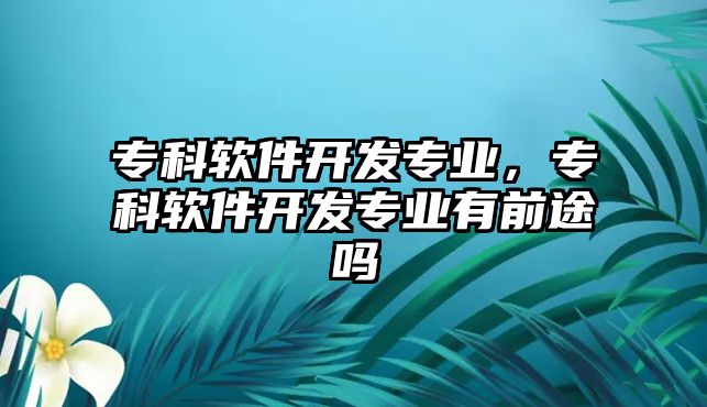 專科軟件開發(fā)專業(yè)，專科軟件開發(fā)專業(yè)有前途嗎