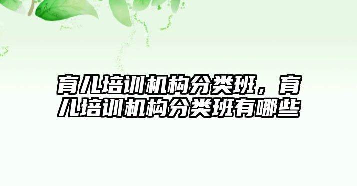 育兒培訓(xùn)機構(gòu)分類班，育兒培訓(xùn)機構(gòu)分類班有哪些