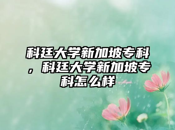 科廷大學(xué)新加坡專科，科廷大學(xué)新加坡專科怎么樣