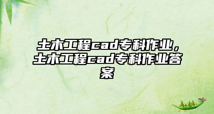 土木工程cad專科作業(yè)，土木工程cad專科作業(yè)答案