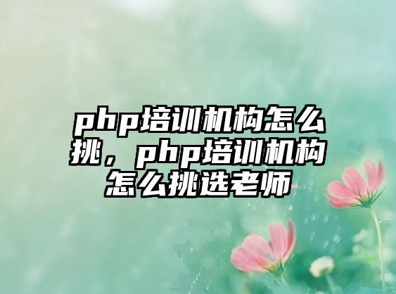 php培訓(xùn)機(jī)構(gòu)怎么挑，php培訓(xùn)機(jī)構(gòu)怎么挑選老師