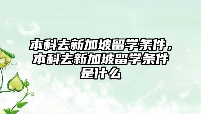 本科去新加坡留學(xué)條件，本科去新加坡留學(xué)條件是什么