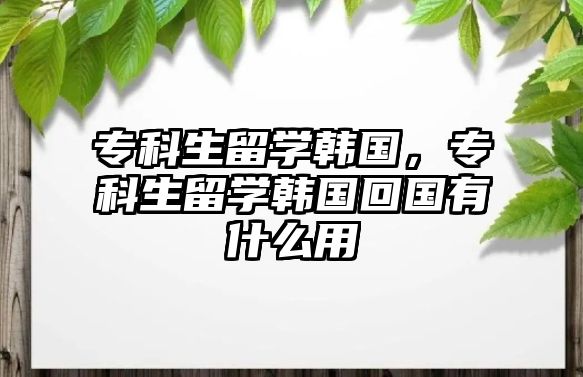 ?？粕魧W韓國，?？粕魧W韓國回國有什么用