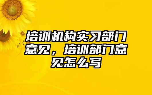 培訓(xùn)機(jī)構(gòu)實(shí)習(xí)部門意見，培訓(xùn)部門意見怎么寫