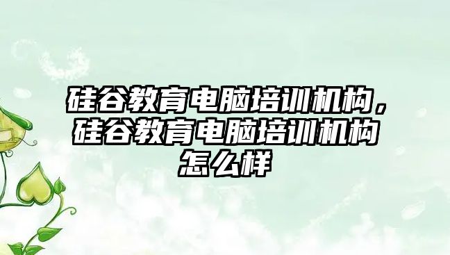 硅谷教育電腦培訓機構，硅谷教育電腦培訓機構怎么樣