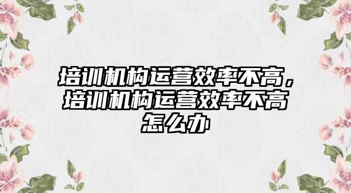 培訓(xùn)機構(gòu)運營效率不高，培訓(xùn)機構(gòu)運營效率不高怎么辦