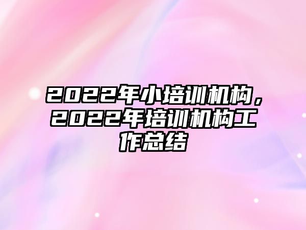 2022年小培訓機構(gòu)，2022年培訓機構(gòu)工作總結(jié)