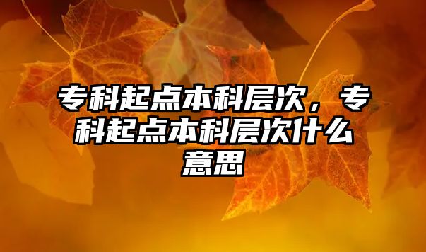 ?？破瘘c(diǎn)本科層次，?？破瘘c(diǎn)本科層次什么意思