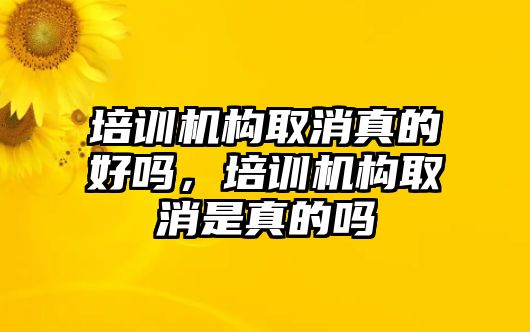 培訓(xùn)機(jī)構(gòu)取消真的好嗎，培訓(xùn)機(jī)構(gòu)取消是真的嗎