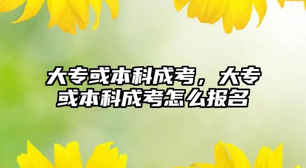 大專或本科成考，大專或本科成考怎么報名