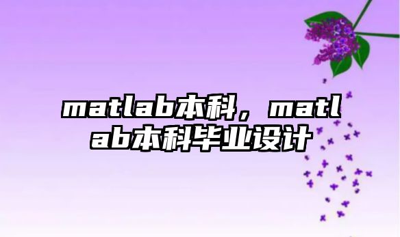 matlab本科，matlab本科畢業(yè)設(shè)計(jì)