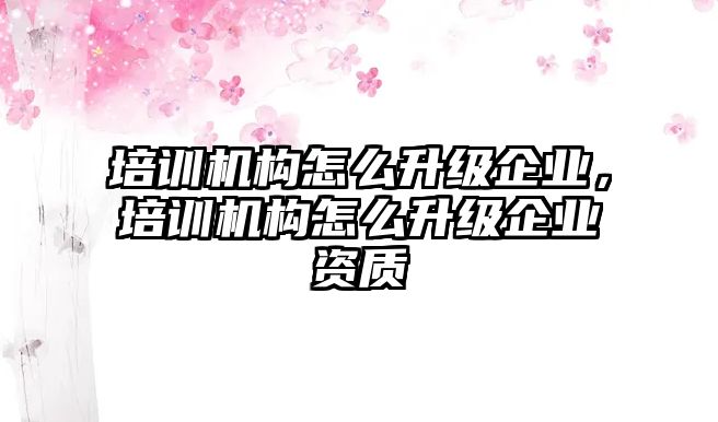 培訓機構怎么升級企業(yè)，培訓機構怎么升級企業(yè)資質