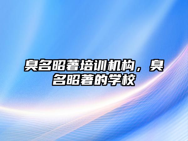 臭名昭著培訓(xùn)機(jī)構(gòu)，臭名昭著的學(xué)校