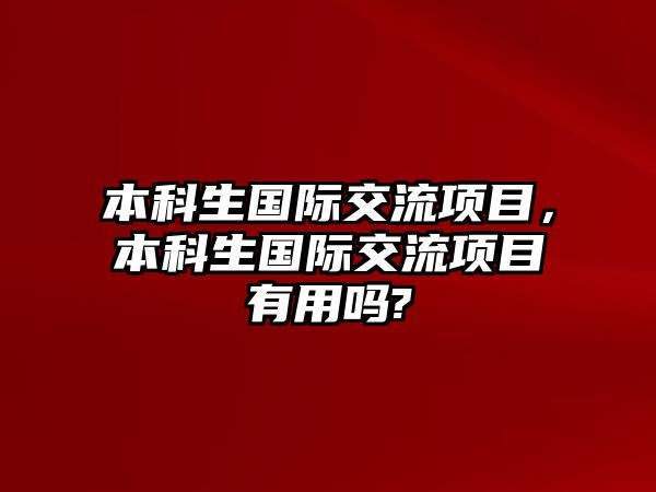 本科生國際交流項目，本科生國際交流項目有用嗎?