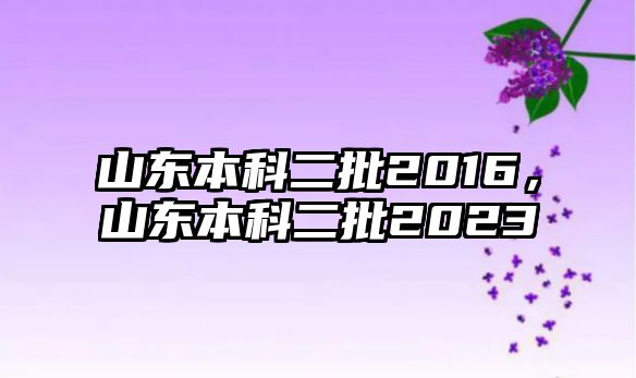 山東本科二批2016，山東本科二批2023