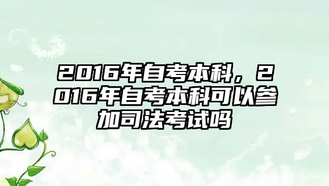 2016年自考本科，2016年自考本科可以參加司法考試嗎