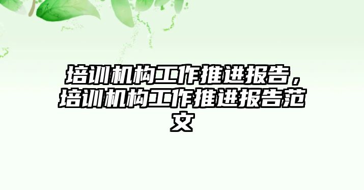 培訓機構工作推進報告，培訓機構工作推進報告范文