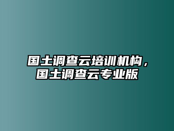 國(guó)土調(diào)查云培訓(xùn)機(jī)構(gòu)，國(guó)土調(diào)查云專業(yè)版