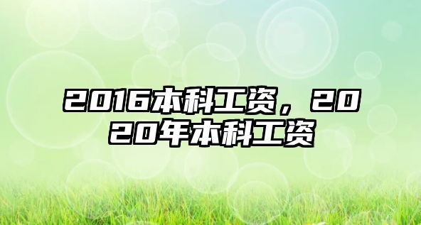 2016本科工資，2020年本科工資