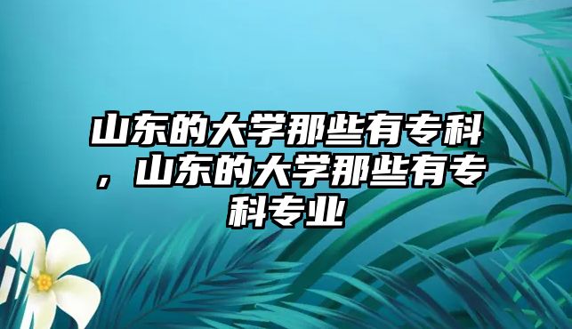 山東的大學那些有?？?，山東的大學那些有?？茖I(yè)