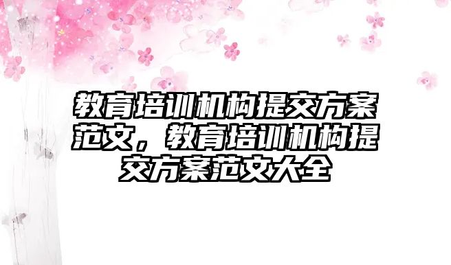 教育培訓(xùn)機構(gòu)提交方案范文，教育培訓(xùn)機構(gòu)提交方案范文大全