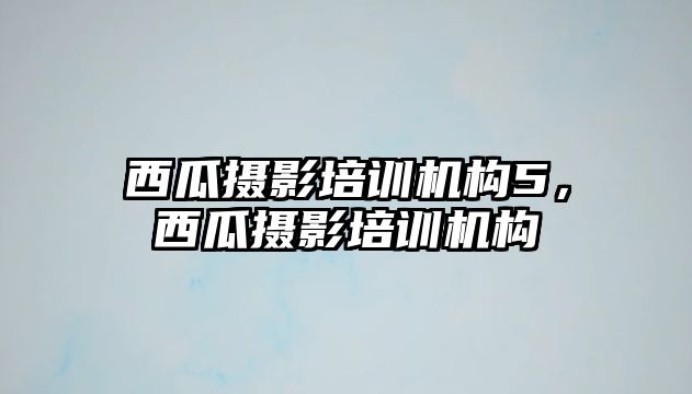 西瓜攝影培訓(xùn)機(jī)構(gòu)5，西瓜攝影培訓(xùn)機(jī)構(gòu)