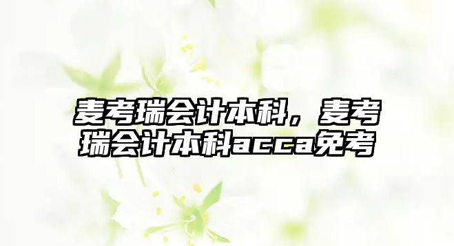 麥考瑞會計本科，麥考瑞會計本科acca免考