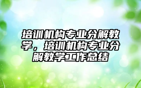 培訓機構(gòu)專業(yè)分解教學，培訓機構(gòu)專業(yè)分解教學工作總結(jié)