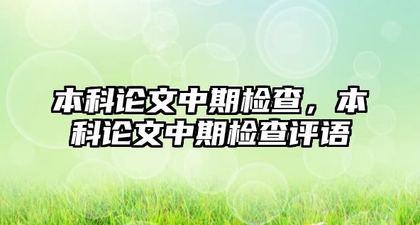 本科論文中期檢查，本科論文中期檢查評語