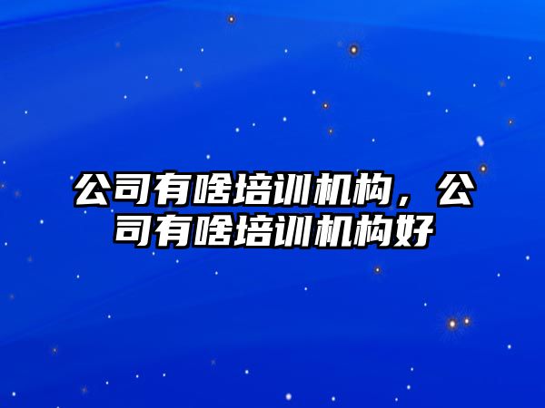 公司有啥培訓機構，公司有啥培訓機構好